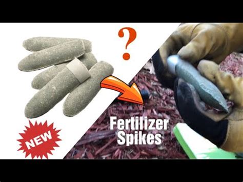 do fertilizer spikes work|How Fertilizer Spikes Work And When You Should Use Them.